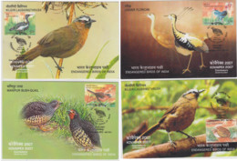 India  2007  Endangered Birds  4  Officially Issued  Max Cards  # 59060  D Inde  Indien - Oies