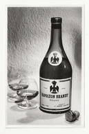 PHOTO ORIGINALE MARKETING - NAPOLÉON BRANDY BRAND VEUVE BRIERE ET SES FILS - TRADE MARK - PRODUCE OF FRANCE - Spirits