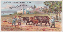 38 Wheat Threshing In Malta - British Empire Series 1904 -  Players Original Antique Cigarette Card - Player's