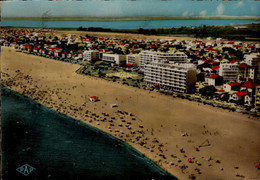 CANNET PLAGE       (  Pyrénées O  )   VUE GÉNÉRALE - Canet Plage