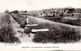 CPA XERTIGNY 88 La Faisanderie, Un Sentier D'élevage - Xertigny