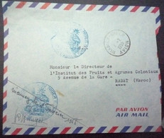 NIGER Lettre Par Avion 1955 Niamey Pour Rabat (Maroc) - Cartas & Documentos