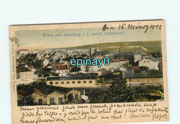 57 - SARREBOURG - GRUSS AUS SAABURG - Totallansicht - Sarrebourg