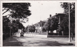 CARTE PHOTO - Egypte - Ismailia - Intérieur De La Ville (voir Scan Recto-verso) - Ismaïlia