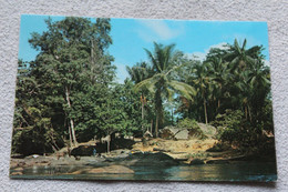 Cpm 1972, Haut Maroni, Village Boni, Guyane - Saint Laurent Du Maroni