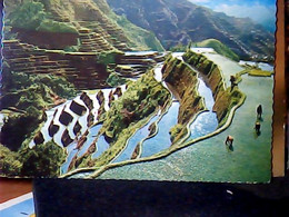 Philippine Wonder-The Famous Rice Terraces Of The Mountain Province Is A Breath-taking N1975 IN5125 - Philippines