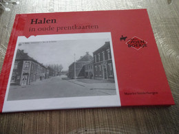 Halen In Oude Poskaarten (toenboekje) - Halen