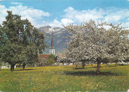 Kerns - Frühlingswiese          Ca. 1970 - Kerns