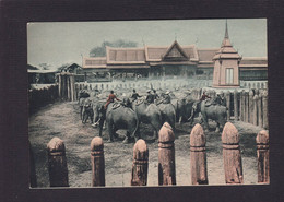 CPSM Siam Thaïlande Non Circulé Voir Dos éléphants - Thailand