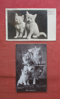 Lot Of 2 Cards.  Cats.       Ref 5485 - Cats