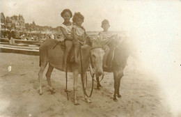 Les Sables D'olonne * Carte Photo * Balade En âne Mulet Sur La Plage - Sables D'Olonne