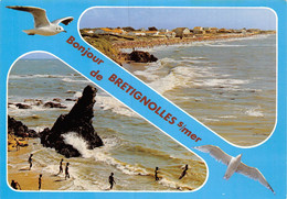 PIE-22-T.G-B : 1013 : BRETIGNOLLES - Bretignolles Sur Mer