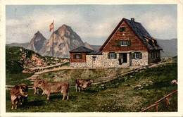 Zürcher Naturfreunde-Ferien- Und Skiheim - Stoos Ob Morschach Mit Blick Auf Die Mythen * 8. 8. 1925 - Morschach