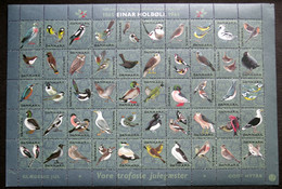 Denmark 1965 Christmas Seal  MNH ( **)  Full Sheet Unfolded  Danish Winter Birds  / Oiseaux D'hiver Danois - Hojas Completas