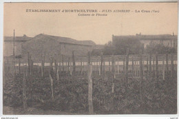 RT33.630 BIS VAR.LA CRAU.ETABLISSEMENT D'HORTICULTURE JULES AUDIBERT.CULTURE DE PHOENIX .LEMAIRE Phot.HYERES - La Crau