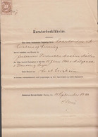 1890. DANMARK. Kuratorbeskikkelse With 1 KRONE STEMPELMÆRKE. Dated 19/9 90 Hammerum Herreds Kontor, Hernin... - JF516936 - Fiscales