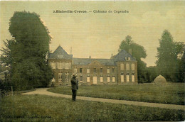 Blainville Crevon * Le Château De Capendu * Cpa Toilée Colorisée - Autres & Non Classés