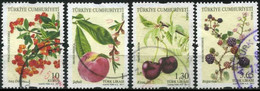 Türkiye 2011 Mi 3914-3917 Fruits, Flora | Pyracantha, Peach, Wild Cherry, Blackberry - Used Stamps