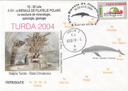 NORTH POLE, ARCTIC WILDLIFE, NARWHAL, TURDA SALT MINE, SPECIAL COVER, 2004, ROMANIA - Arctic Tierwelt