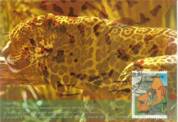 Le Jaguar Du Bresil. Parc National De La Serra Da Capivara.Brésil. Carte-maximum - Cartes-maximum