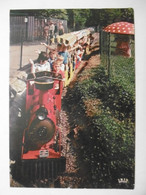 Souvenir Du PARC MERVEILLEUX De BETTEMBOURG - Animation Enfants Petit Train Champignon - Grand Duché De Luxembourg - Bettemburg