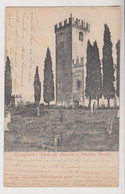 CONEGLIANO (TV) Torre Del Castello E Cimitero Vecchio - F.p. - Fine '1800 - Treviso