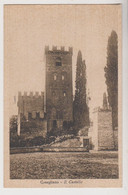 CONEGLIANO (TV) Il Castello - F.p. - Anni '1930 - Treviso
