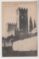 Un Saluto Da CONEGLIANO (TV) L'antica Torre (castello) - F.p. - Fine '1800 - Treviso
