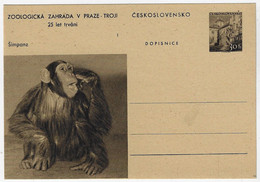Czechoslovakia 1950s Postal Stationery Card Prague Zoo Chimpanzee Chimp Monkey Ape Mammal Animal Fauna Unused - Schimpansen