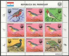 EC153 1985 PARAGUAY FAUNA BIRDS AUDUBON MICHEL 29 EURO 1KB MNH - Other