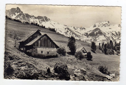 Cpsm N° 529 Paysages Alpestres Châlets En Montagne - Rhône-Alpes