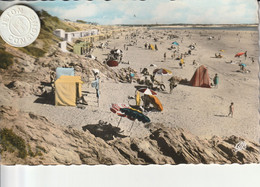 44 -  Carte Postale Semi Moderne De  SAINT BREVIN   La Plage - Saint-Brevin-les-Pins