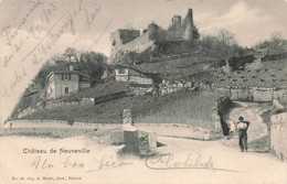 Château De Neuveville Vigneron Avec Une Brante Vigne - La Neuveville