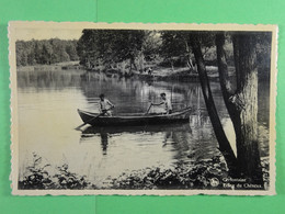 Cerfontaine Etang Du Chêneux - Cerfontaine