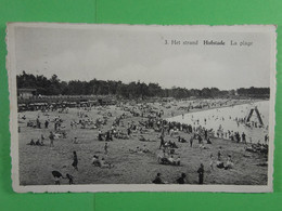 Het Strand Hofstade La Plage - Zemst