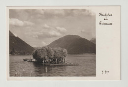 WEISSENSEE:  HEUFUHRE  AM  WEISSENSEE  -  PHOTO  -  KLEINFORMAT - Weissensee