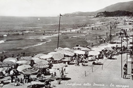 Cartolina - Castiglione Della Pescaia - La Spiaggia - 1960 Ca. - Grosseto