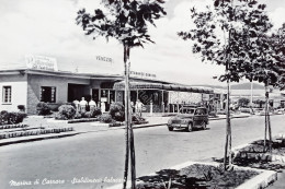 Cartolina - Marina Di Carrara - Stabilimenti Balneari - 1956 - Massa