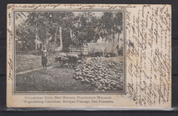 Deutsch-Neuguinea Fotokarte Malapau Plantage,Neu Pommern Mit EF 8 O Matupi 1.2.05 Nach Straßburg - Colonia: Nuova Guinea