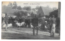 CPA HESDIN Le Marché Aux Porcs - Hesdin