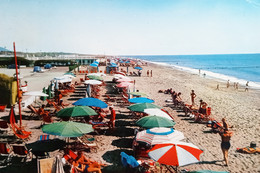 Cartolina - Marina Di Massa - La Spiaggia - 1971 - Massa