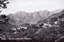 Cartolina - Massa - Dintorni Pittoreschi Pariana - 1955 Ca. - Massa