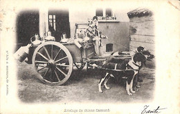 Chiens - Attelage 1903 (G. Hermans Edit) - Hunde