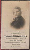 Faire-part Mortuaire -Jeanne Bricourt, Née à Sars La Buissière En 1907 Et Y Est Décédée En 1928  ( Voir Verso ) - Lobbes