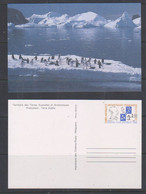 TAAF 1989 Max Douguet Postal Stationery N° 1 Unused (57505) Promotion - Postwaardestukken