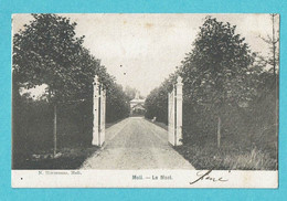 * Mol - Moll (Antwerpen - Kempen) * (N. Havermans) Le Maet, Zeldzaam, Unique, TOP, Rare, Prachtkaart, Entrée - Mol