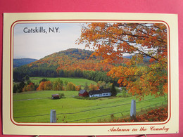 Visuel Très Peu Courant - Etats-Unis - New York - Catskills - Autumn In The Country - Jolis Timbres - R/verso - Catskills