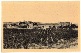 SALSES LE CHÂTEAU PYRENEES ORIENTALES : LE FORT VUE GENERALE EDITION COLORISEE GLACEE DES MONUMENTS HISTORIQUES - Salses