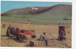 Ak WESTBURY, The White Horse, Farmer Mit Traktor Bei Feldarbeit, Wiltshire, England, Great Britain, Ansichtskarte, - Salisbury