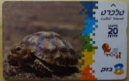 ISRAEL 2005 SAFARI  TURTLE Abyssinian Tortoise Used Phonecard - Tartarughe